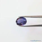 Orissa Iolite Blue Oval