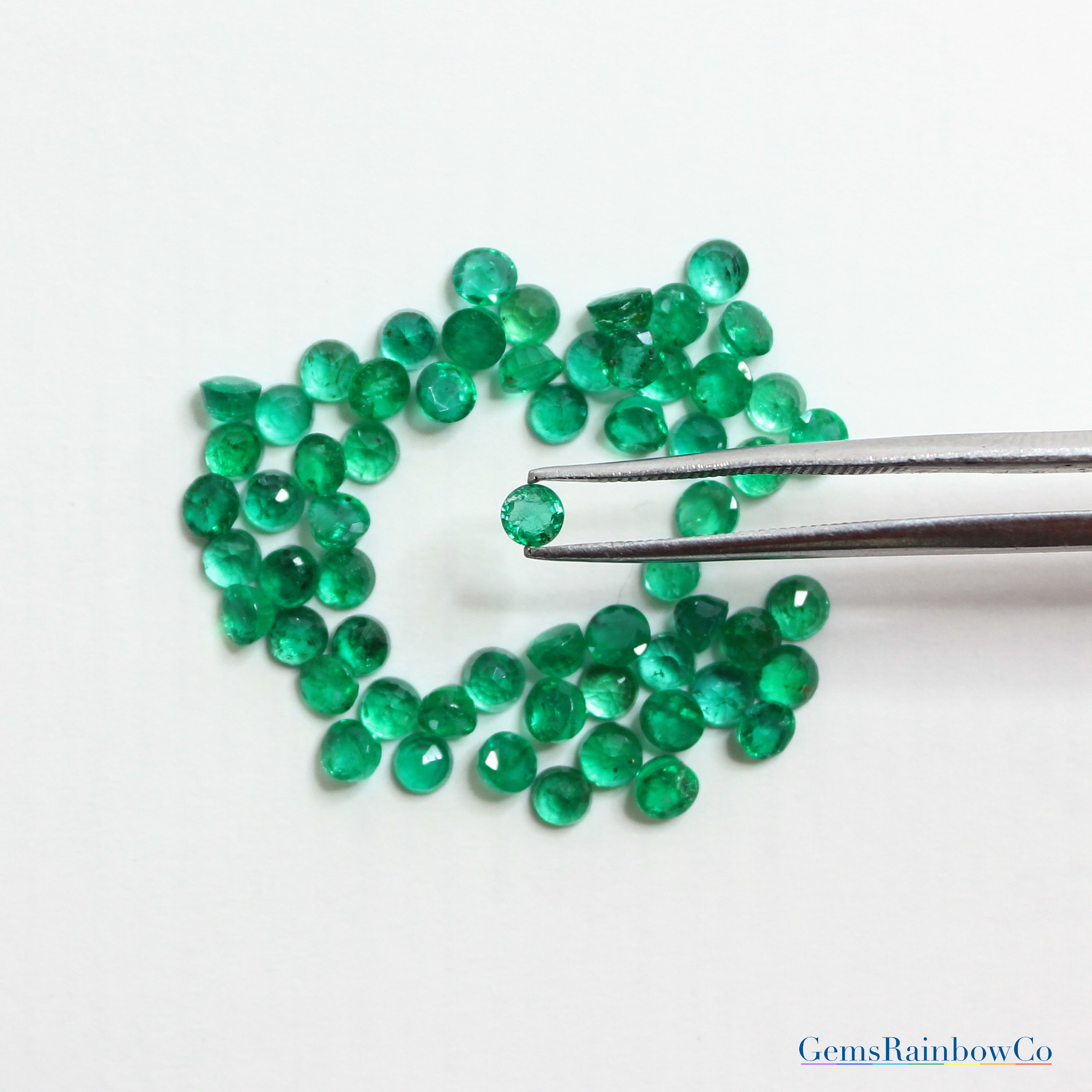 Regulated Gravity-crocodile textured pattern Emerald green×BK –  AKIKOAOKI(アキコアオキ)公式オンラインストア