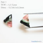 Tourmaline Carvings