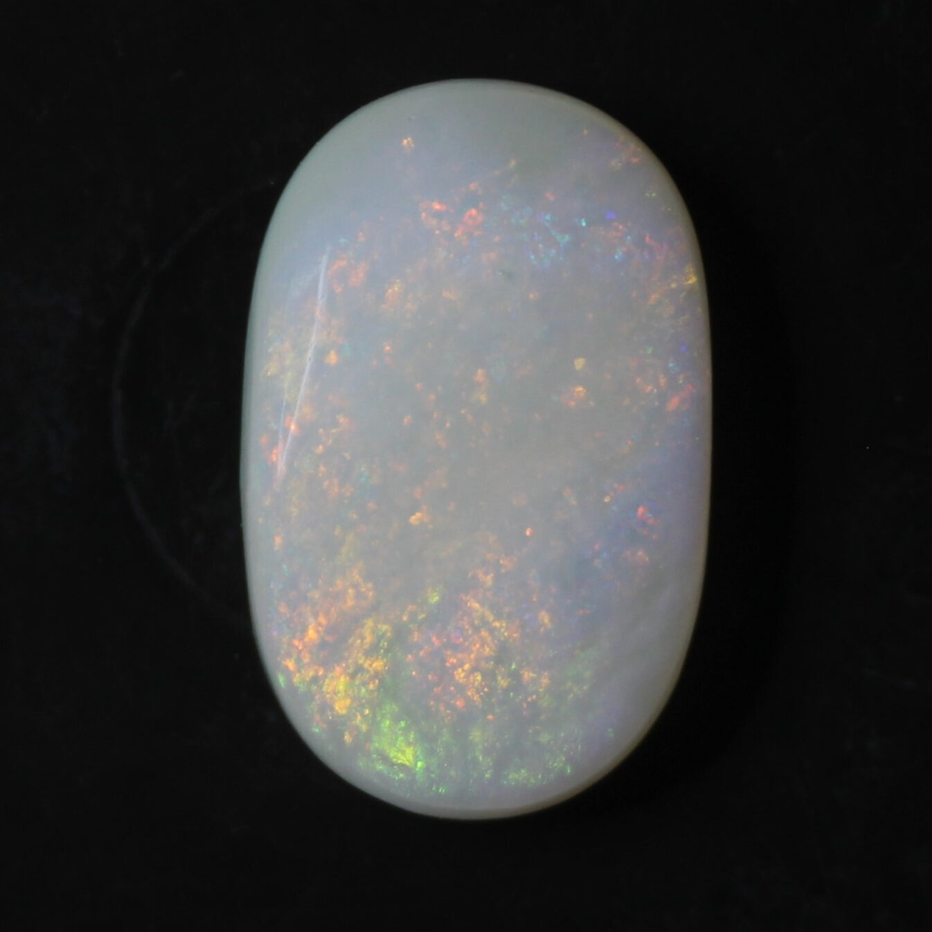 IMG_9796 Opal